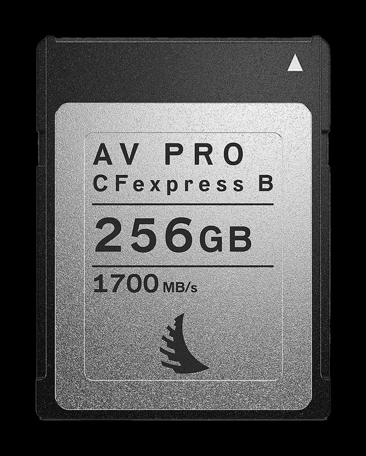 CFexpress Karte Typ B 256GB