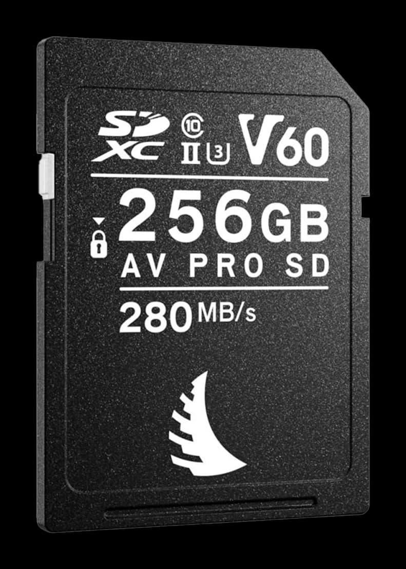 SD Angelbird AV Pro 256GB V90