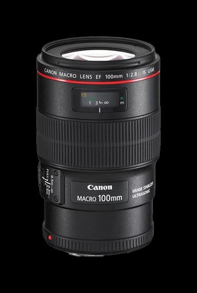 Canon EF 100mm f/2.8L Makro IS USM