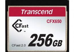 256